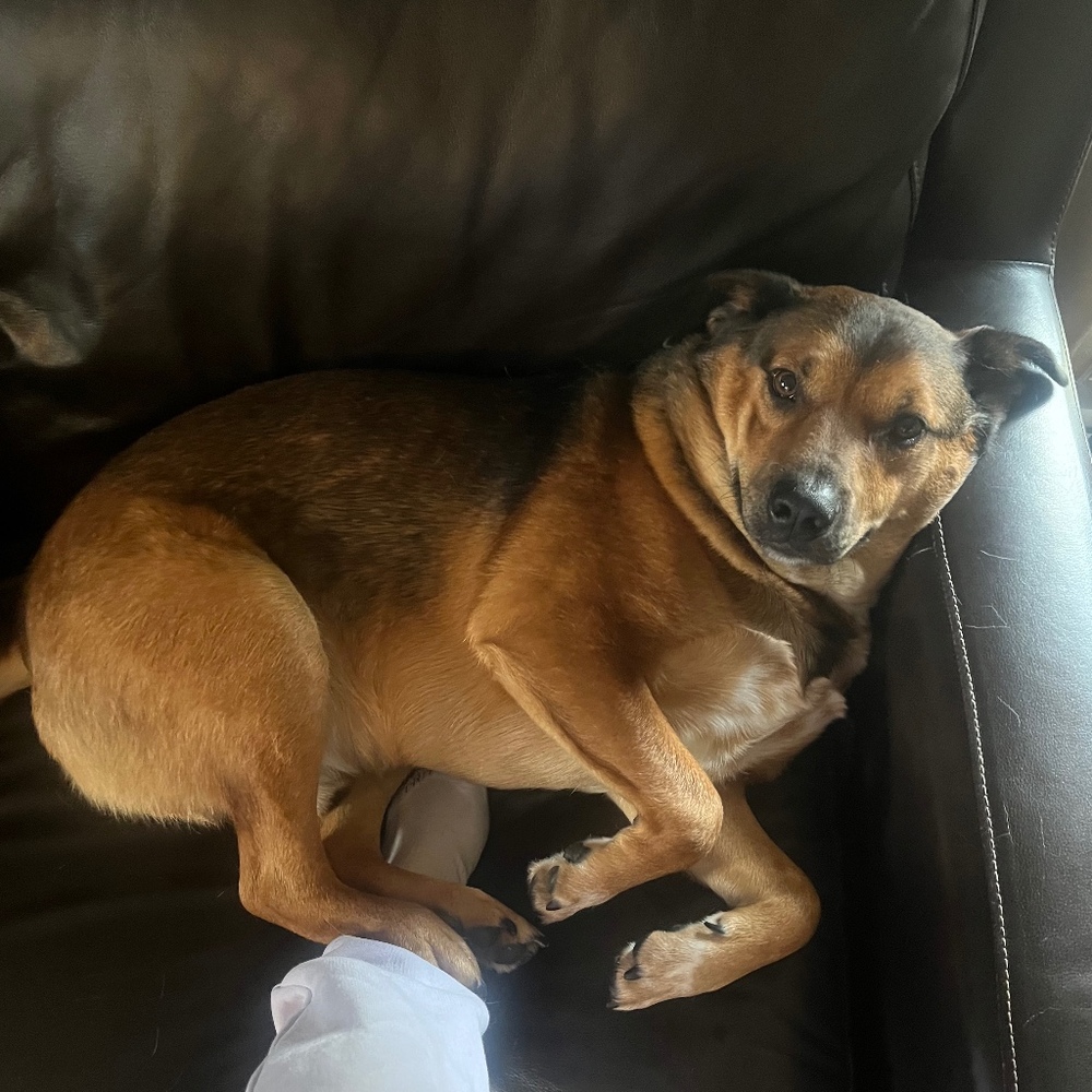 Meet your Posher, Alonna